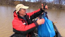 Huge Spring Channel Catfish on Cut Bait - YouTube