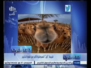 #مصر‪_‬العرب | ‎‎قيمة ‫"‬آبل‫"‬ السوقية أكبر من نفط الخليج