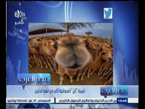 #مصر‪_‬العرب | ‎‎قيمة ‫ ‬آبل‫ ‬ السوقية أكبر من نفط الخليج