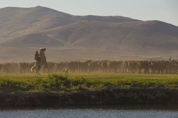 700 Manda Sabahın İlk Işıklarıyla Beraber Erciyes Dağlarına Koşuyor