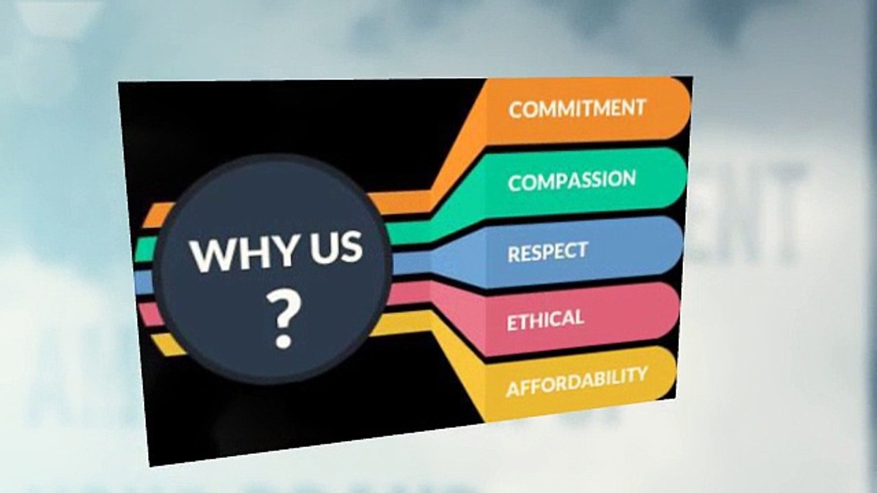 Website design in raipur