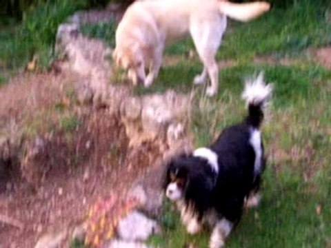 2007-02-12 Colbert Héra Hermès au jardin. (1)