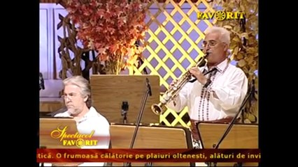 Ilie Medrea - Ce-am gandit mandro ganditu` - live