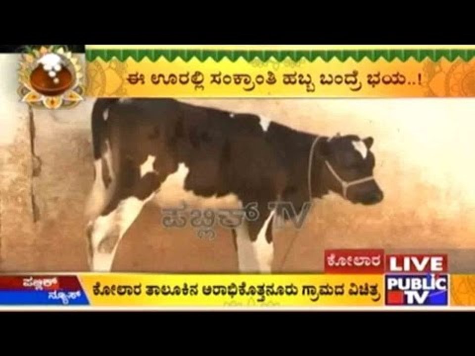 Kolar: Sankranti- A Jinx For Arabhikottanur Villagers