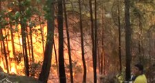 Kozan'da Orman Yangını! 20 Hektarlık Alan Kül Oldu, Evler Tahliye Ediliyor