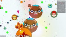 AFK WITH SAME SKIN AGARIO TROLLING//BEST MOMENTS - Agar.io
