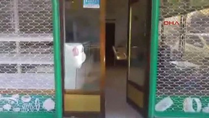 Şanlıurfa'da 'Tefeci' Operasyonu: 5 Gözaltı