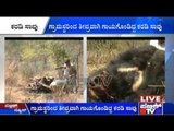 Bear Attacked By Villagers Dead