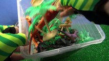 Dix les meilleures filières dinosaure des œufs enfants sommet jouets vidéos surprise