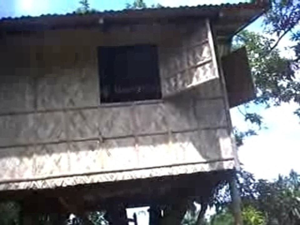 danni at the treehouse_talumpok