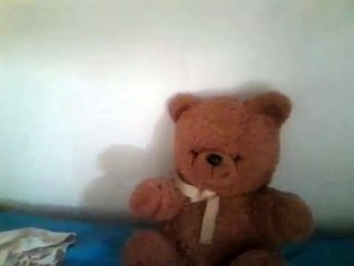 Oso gimnasio título y 2015 2016 y 2017