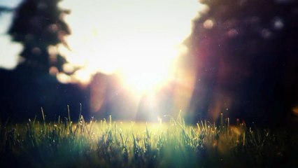 Bow and Arrow - T-Mass