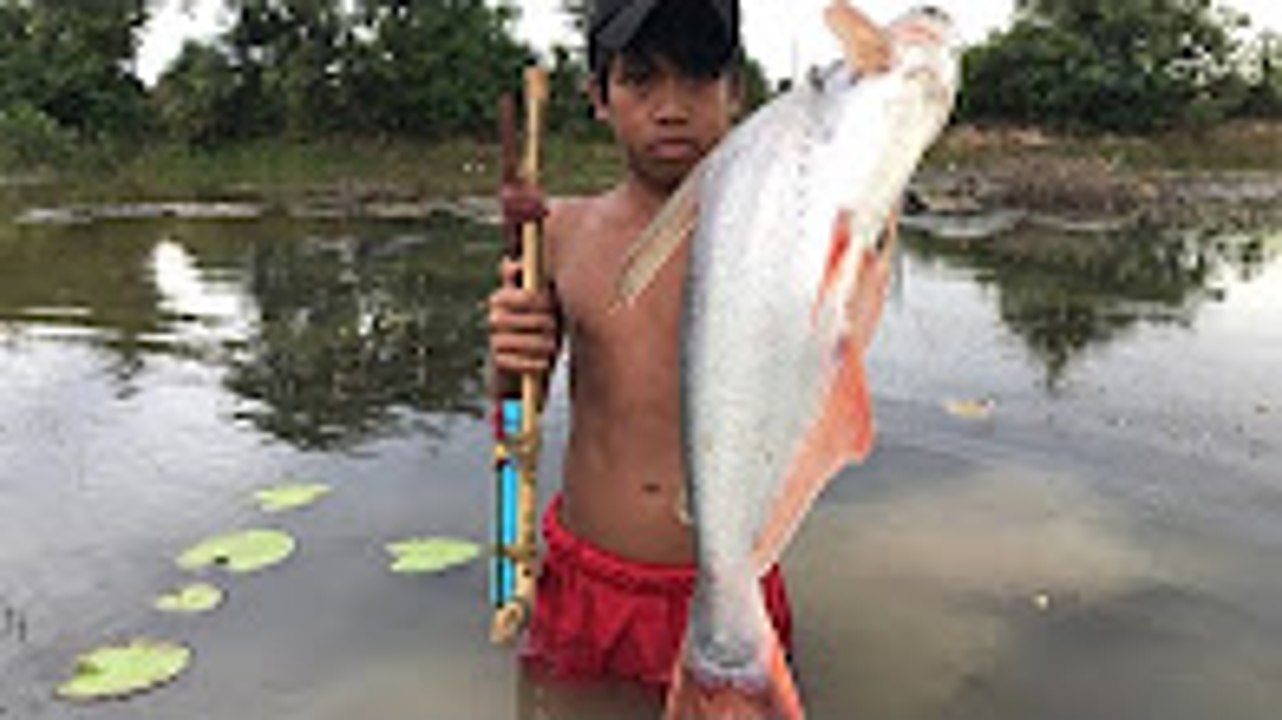 Best Fish Hunting - Awesome Boys Shoots Fish Using Crossbow Fishing - Catch n Cook