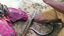 Grilled Whole Snakes - How To Skinning and Cooking Water Snake - Primitive Food