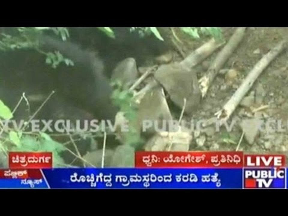 Chitradurga: Villagers Slaughtered Bear That Entered Village