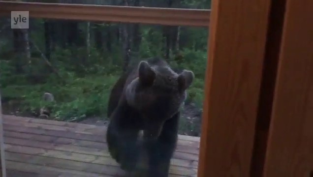 Cet ours vient voler les poubelles devant cette maison ! SURPRISE !