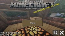 Camino Edición instalar paquete Educación física bolsillo textura Minecraft indonesia