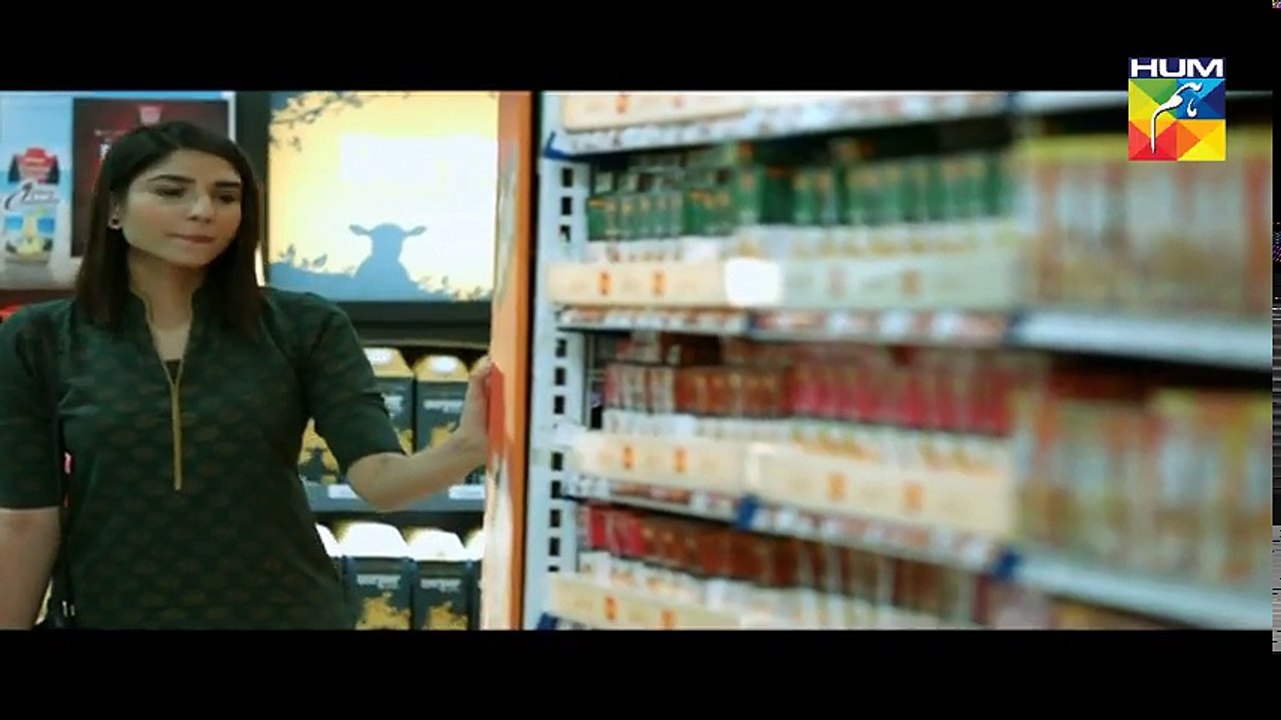 Woh Aik Pal Episode 18