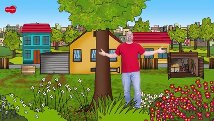 Steve and Maggie in Madagascar + MORE, 12 mins | Songs for Kids | Wow English Story for Ch