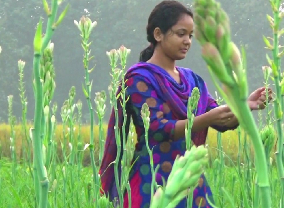 village life at afternoon