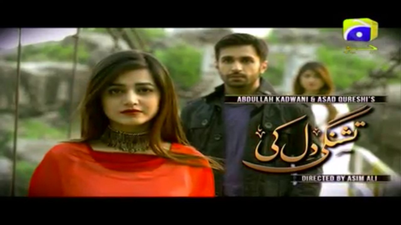 Tishnagi Dil Ki Episode 29