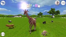 Sur et animaux bébé des jeux enfants Apprendre réal des sons Panda ♔ ♔ life-like 3d