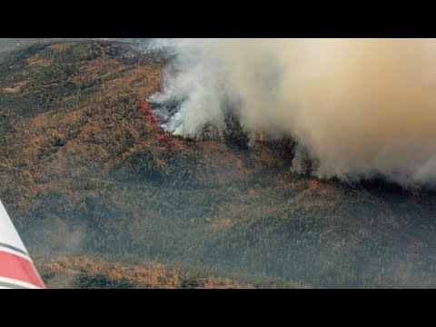 Aerial Views Show Extent of Wall Fire Blaze in Butte County