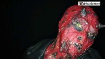 Maquillaje en zombi tutorial facepainting bahasa