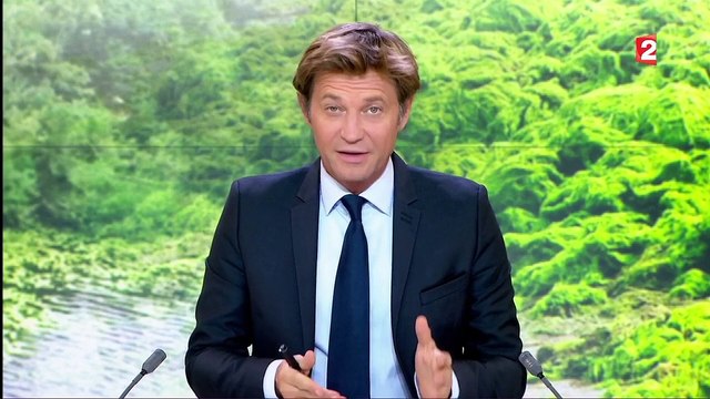 Côtes bretonnes: le retour des algues vertes