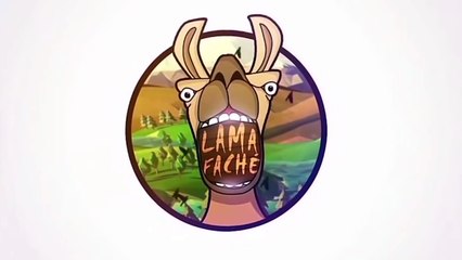 10 BONNES Raisons De Dormir NU - Lama Faché