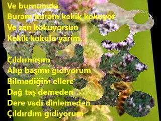 KEKİK KOKULU YARİM- Dagbey Şiirleri (Ali Dogan)