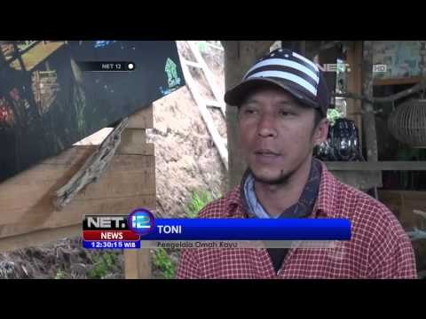 Wisata Hutan Pinus di Jawa Timur Menarik Wisatawan - NET12