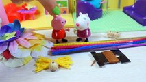 Cerdo Niños para peppa dibujos animados de cerdo Peppa Peppa nuevos juguetes