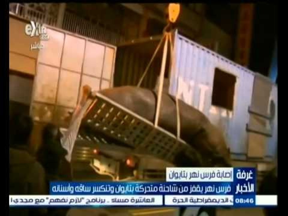 #غرفة_الأخبار | فرس نهر يقفز من شاحنة متحركة بتايوان