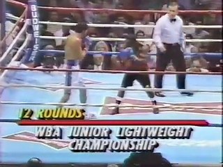 Genaro Hernandez vs Harold Warren (11-10-1993) Full Fight