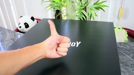 20 CHOSES IMPOSSIBLES À FAIRE - Lama Faché