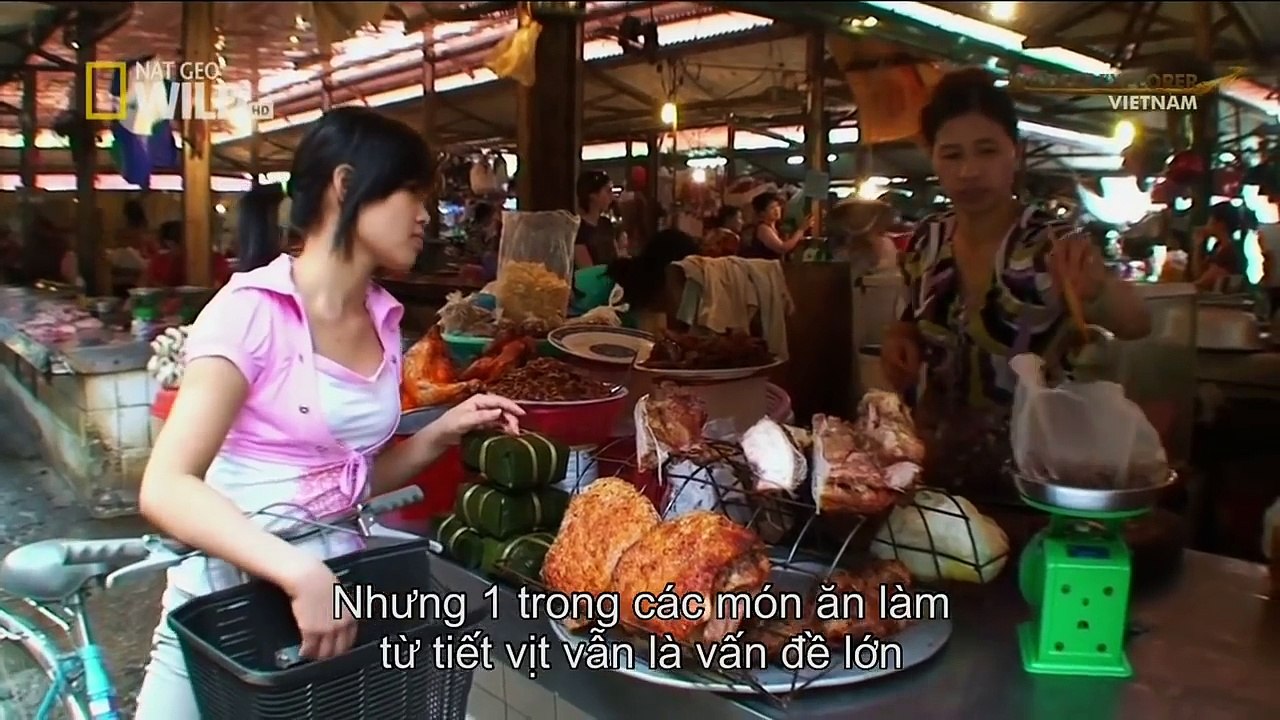 Khám Phá Hoang Dã Việt Nam (Wildest Explorer Viet Nam)