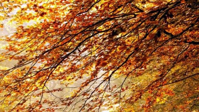 ДЛЯ ФУРШЕТА аудиосказки детей сказки детей слушать