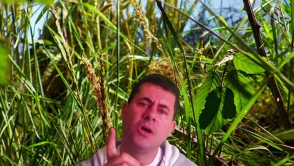 Brincando um pouco de chroma key