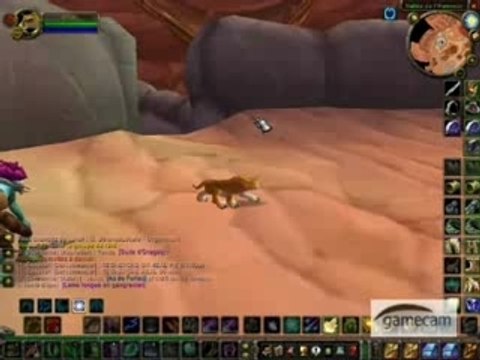 Wow druide pvp oibaf 2