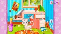 Paraca el allí pasado salón perritos gatitos el mejor juego las niñas los niños