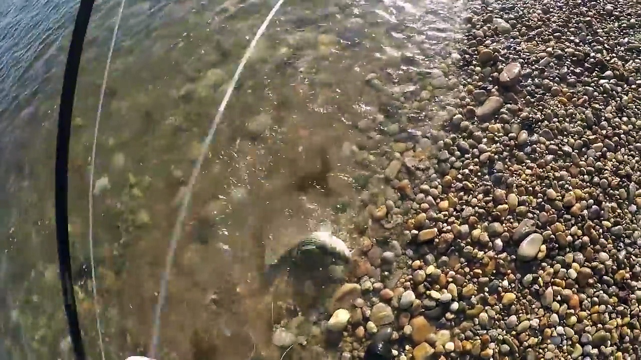 Fly Fishing Striped Bass on the Flats!!
