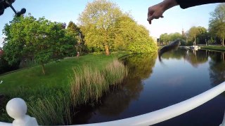 Northern Pike and Perch Canal Fishing The Netherlands