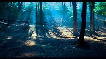 Desafio #AUMS Harry Potter Amino