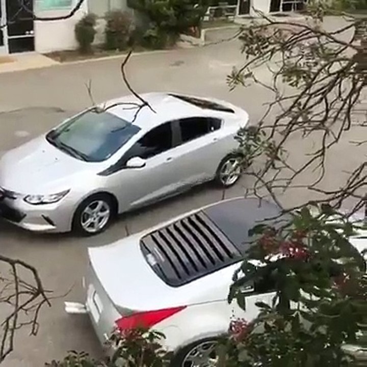 Car and Mouse Racing. Awesome