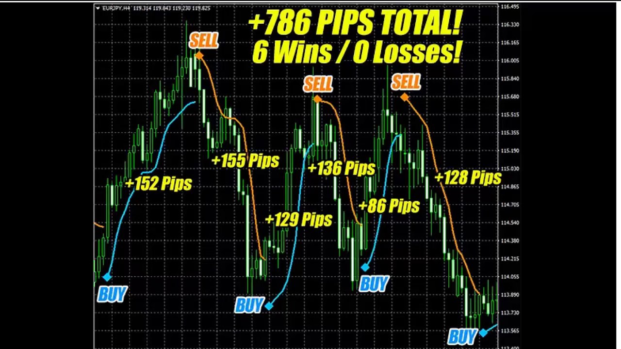 Best scalping indicator - Pips Wizard Pro Which Product you should buy