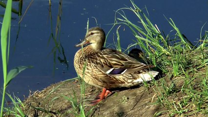 DTJU [중절수술 wwee338899@gmail.com ~메일로 문의하세요.] 낙태수술비용