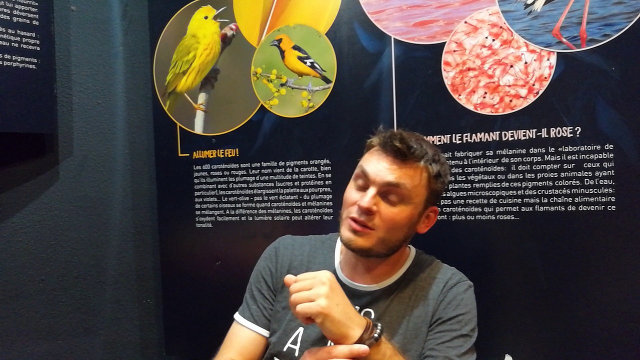 Interview de "Biscotte"