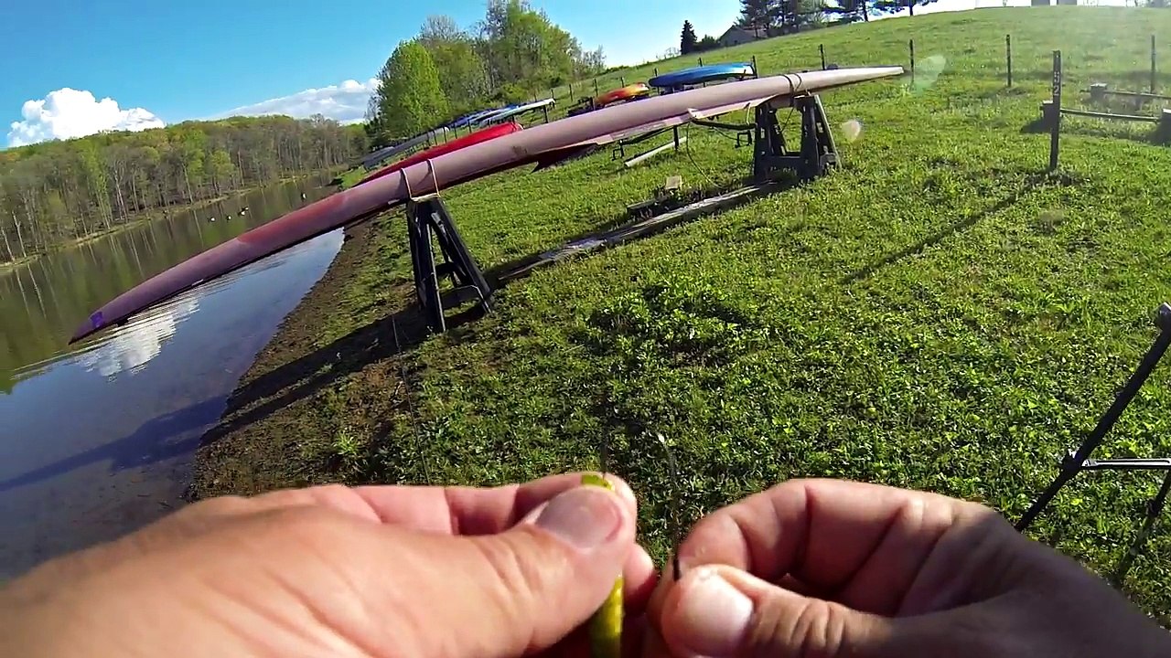 SPRING BASS FISHING FROM SHORE!!! (Drop Shot Hawg!) ~Tips & Techniques~