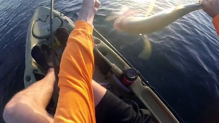 Early Morning Kayak Fishing A Bridge in Florida